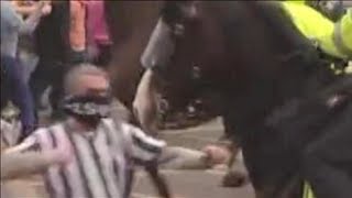 Soccer Fan Punches Horse [upl. by Morril819]