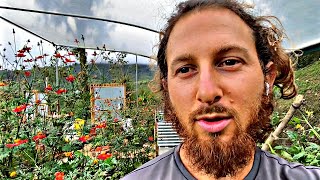 Garden Tour Of Our Greenhouse in Costa Rica [upl. by Sidoney]