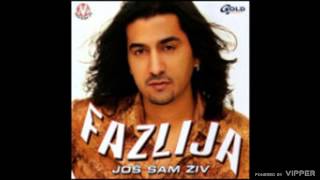 Fazlija  Dosta je tuge i bola  Audio 2003 [upl. by Mcbride]