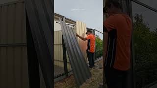 Double sheets on good neighbour colorbond fence  Buhay sa Australia [upl. by Shulem]