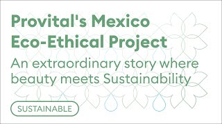 🌍 Provitals Mexico EcoEthical Project 🇲🇽 [upl. by Ilecara]