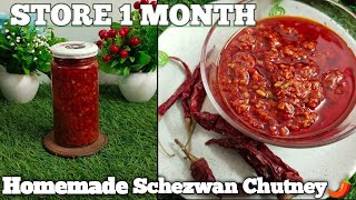 Schezwan Sauce Recipe  Homemade Schezwan Chutney  Chinese Sauce [upl. by Vicky273]