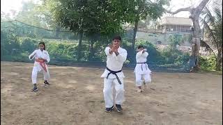 Heian Nidan kata practice [upl. by Maribel50]