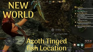 New World  How to get Azoth Tinged Fish [upl. by Felise63]