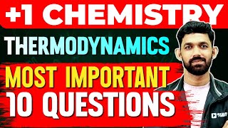 Plus One Chemistry Christmas Exam  Thermodynamics  Most Imortant 10 Questions  Exam Winner 1 [upl. by Nadabus]