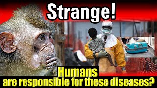 Humans are responsible for these diseases😲🤯 इन बीमारियों के लिए इंसान हैं जिम्मेदार [upl. by Loss]