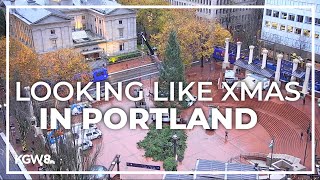 Christmas tree arrives at Pioneer Courthouse Square [upl. by Anoynek]