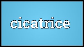 Cicatrice Meaning [upl. by Tufts]