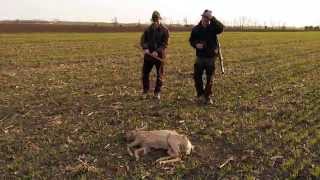 Roebuck hunting in HungaryTelekgerendás [upl. by Tingey]