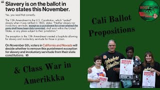 Rootwork CA Elections and Class War in Amerikkka [upl. by Vasyuta889]