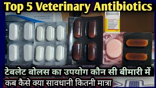 Top 5 Veterinary Antibiotics TabletBolusकौन सी बीमारियों में कब कैसेकितनी मात्रा मे दे [upl. by Gnaoh358]