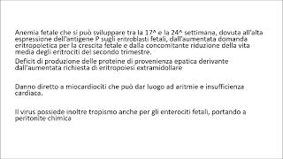 Infezione da Parvovirus [upl. by Arbed]