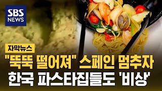 quot뚝뚝 떨어져quot 스페인 멈추자…한국 파스타집들도 비상 자막뉴스  SBS [upl. by Caplan378]