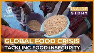 How can we reduce global food insecurity  Inside Story [upl. by Amorete]