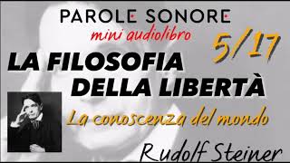 Rudolf Steiner  MINI AUDIOLIBRO 517  LA FILOSOFIA DELLA LIBERTA  Parole Sonore [upl. by Ordnaxela]