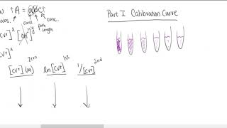 Crystal Violet Fading PreLab [upl. by Tattan610]