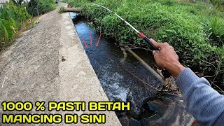 Bikin Candu Mancing di Selokan Hasilnya Selalu Memuaskan LM40 [upl. by Terraj156]