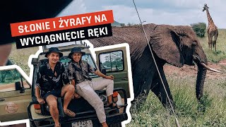 Safari w Tanzanii  Czy warto wydać kilkaset dolarów na wizytę w Serengeti [upl. by Vyse]