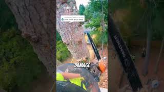 Removing Tree In A Tight Spot😱 arborist logging chainsawman [upl. by Ailehc121]