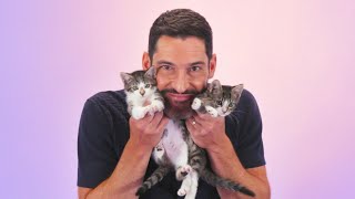 Tom Ellis The Kitten Interview [upl. by Eile]