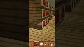 I opened a super shop in craft world  subscribe [upl. by Slavic]