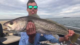 Coorong Mulloway Mission [upl. by Dranyl103]