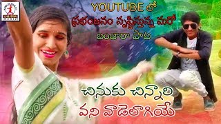 Chinuku Chinnari Vadi Video Song  Super Hit Banjara Songs  Lalitha Banjara Songs [upl. by Lisan]