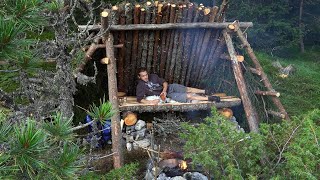 Building of a Bushcraft Shelter in the Mountains  overnight  cooking on fire [upl. by Lothaire319]