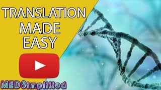 DNA Translation Made Easy [upl. by Ayocat262]