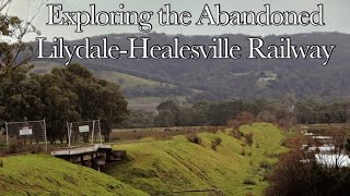 Exploring The Abandoned LilydaleHealesville Railway Remains and Preservation [upl. by Joella]