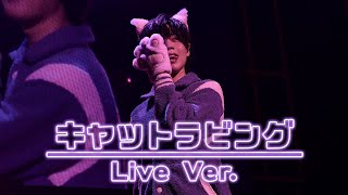 キャットラビング ／となりの坂田。【Live映像】 [upl. by Lamrouex]