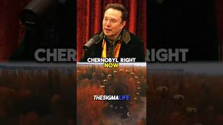 Elon Musk on Why You Can Tour Chernobyl Now [upl. by Zailer]