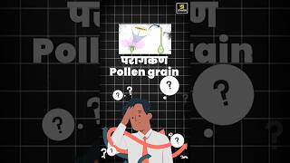 What is Pollen Grains biology pollengrain shorts  Krishnakant Sir [upl. by Nithsa]