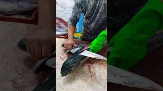 Recipes for cutting mahi mahi fishcutting [upl. by Libbey826]