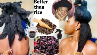 HOW TO use cloves amp hibiscus for HAIR GROWTH in 2 weekssimplychisom naturalhair cloves [upl. by Ahswat]