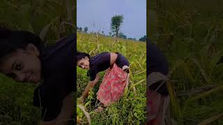 ARJUN R MEDA RAHUL BHURIYA VK BHURIYA KAMLESH NINAMA RAMESH PARGI NEW VIDEO [upl. by Brennen]