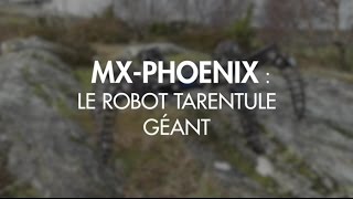 Une tarentule robot géante pour des missions de sauvetage [upl. by Moody]