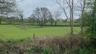 Walk along the towpath April 2024 [upl. by Ttergram]