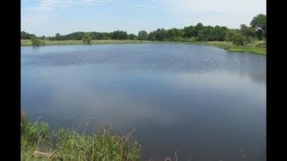 320 Acres For Sale in Wainwright OK [upl. by Claman909]