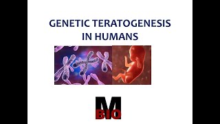 GENETIC TERATOGENESIS IN HUMANS [upl. by Tiffa855]