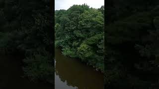 Victoria train Bridge River Severn Severn Valley Railway Arley SevernValleyRailwayOfficial Shorts [upl. by Enileve275]