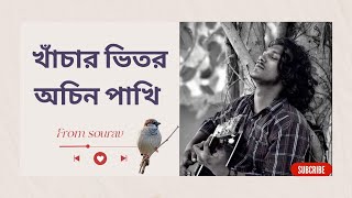 তারে ধরতে পারলে মনো বেরি দিতাম পাখির পায় । tare dorte parle mono beri coverd by brand xajal। [upl. by Rim58]