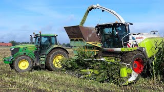 Mais oogst 2022 Claas Jaguar 950 Loonb Entjes BV Slochteren [upl. by Ayerf]