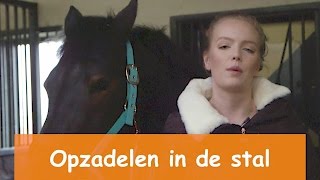 Opzadelen in de stal amp toffe Winactie  PaardenpraatTV [upl. by Farrish]