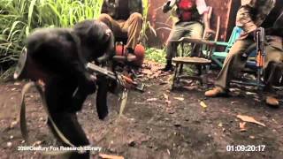 Ape With AK47  Обезьяна с автоматом Калашникова [upl. by Debra]