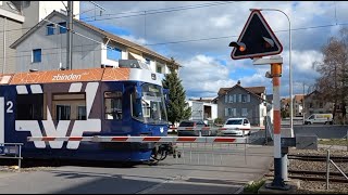 Bahnübergang Reinach AG CH  Swiss Railroad Crossing [upl. by Yenial]