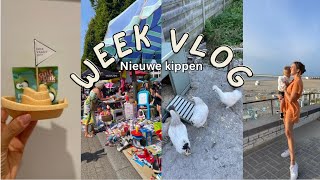 LAATSTE DAG ONTHAALMOEDER SPEELGOEDMARKT amp NAAR ZEE 🌊  VLOG 52024 [upl. by Mcgee]