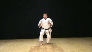 Seiunchin Kata of IsshinRyu Karate Michael Calandra [upl. by Burnett126]