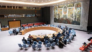 Linkage of Counterterrorism and transnational organized crime  Security Council 6 August 2020 [upl. by Pittel]