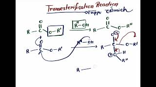 Transesterification reaction MrPappu Bhowmick [upl. by Purvis]